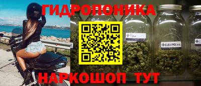 индика Гай