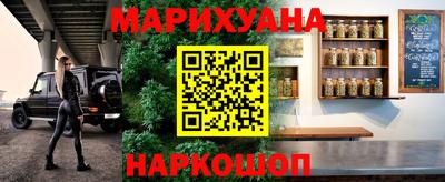 индика Гай