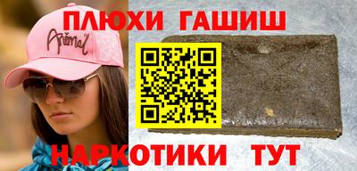 индика Гай