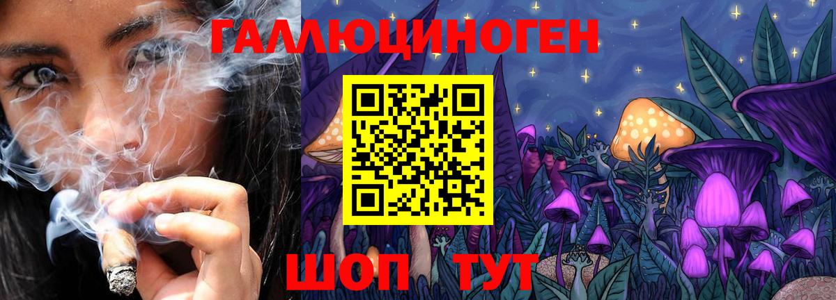 Псилоцибиновые грибы MAGIC MUSHROOMS  Вход с VPN  Галлюциногенные грибы Magic Shrooms  Тара 