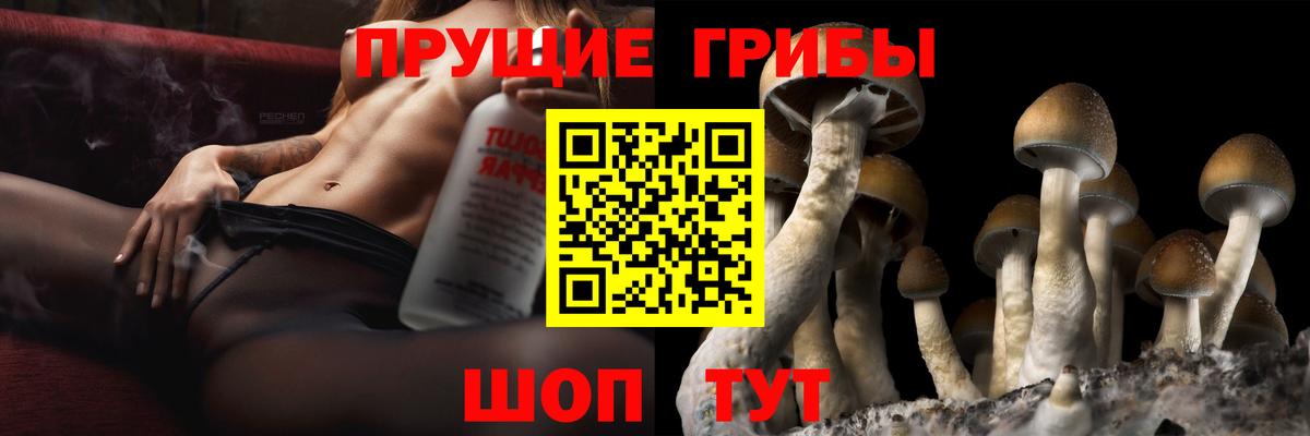 Галлюциногенные грибы Psilocybine cubensis Тара